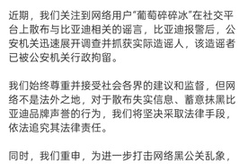 持续加大力度！比亚迪严厉反击黑公关