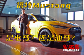 福特Mustang 只能用V8？还是也可以是电马？