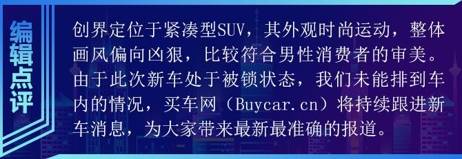 买车网