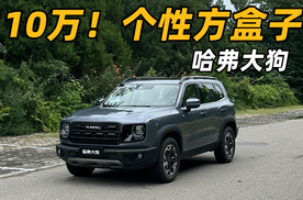 可城可野？新款哈弗大狗怎么样？