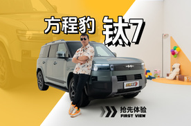 这只豹子，很懂孩子！