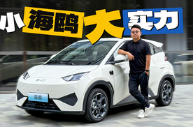 小海鸥大实力 百万销量如何炼成