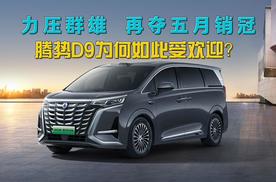 力压群雄，再夺五月销冠，腾势D9为何如此受欢迎？看完这几点就懂