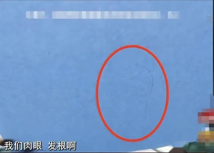 任职仅半年，林肯中国总裁朱梅君会是下一个替罪羊吗？