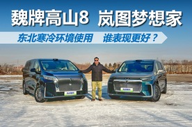 魏牌高山8和岚图梦想家，东北寒冷环境使用，谁表现更好