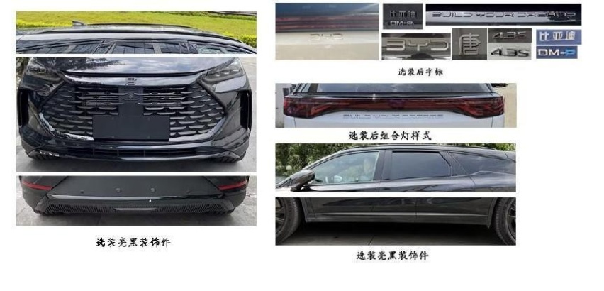 “黑武士”涂装拉满期待值，新款唐DM-p现身新车目录