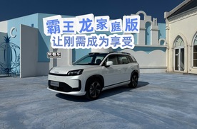 《帮看车》霸王龙家庭版，让刚需成为享受！