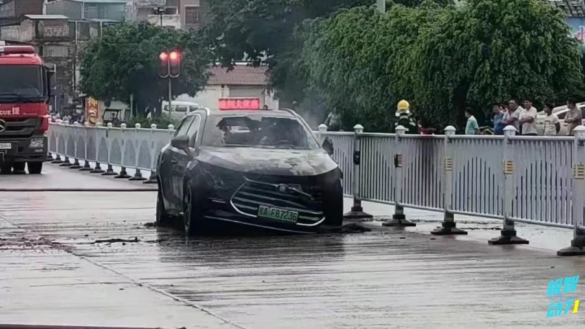 市值超大大众有什么用，安全性才是消费者真正关心的