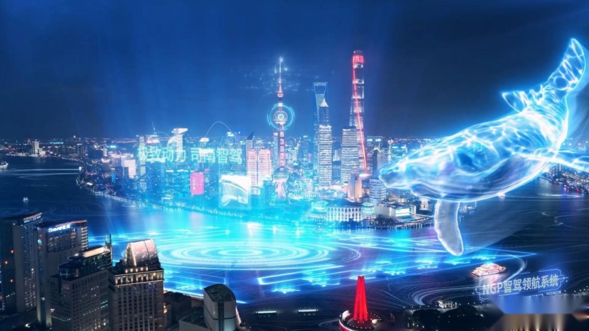 零息保值终身管，“养鲸”毫无压力