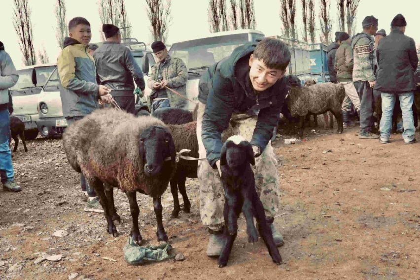 比亚迪护卫舰07中亚四国穿越记 吉尔吉斯斯坦篇