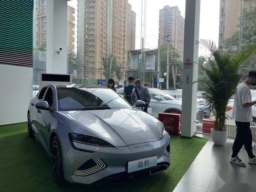 四张表，看懂电动车销量“猫腻”