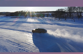 蓝色车色图鉴，你是科技派还是生活家？