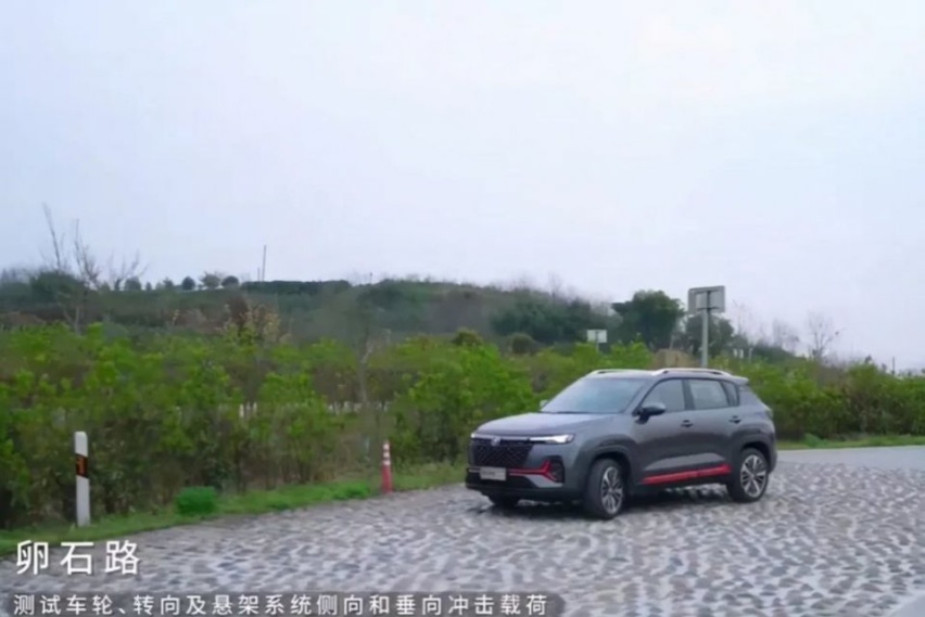 “鲸”动力“芯”时代！长安汽车用一场体能公开课大秀实力