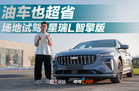 家用轿车新选择，星瑞L智擎省油还好开
