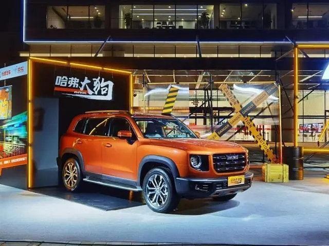 进入敦煌无人区遛狗是种怎样的体验？