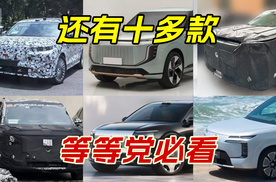 国产大尺寸SUV预告，还有超10款车在排队，等等党又赢了