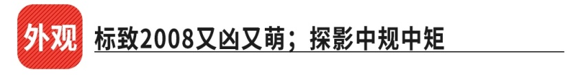 法系车的逆袭！10.99万起这款全新SUV能击败探影吗？