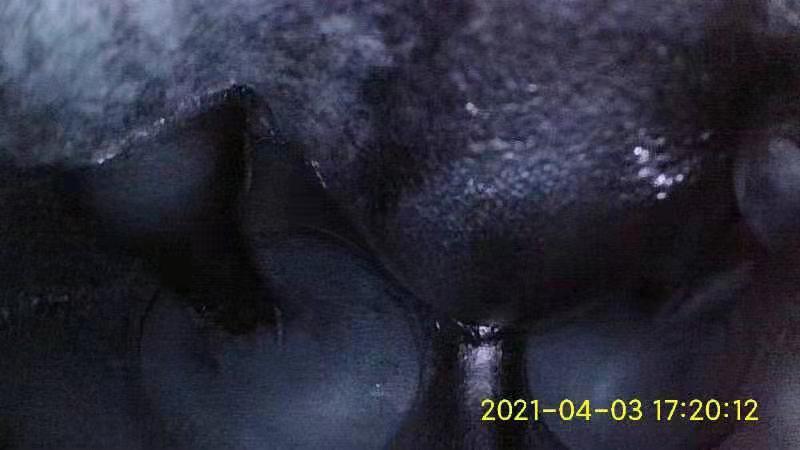 最近怠速抖动越来越严重，检查配件没问题，是积碳超标，使用添加剂清洗改善