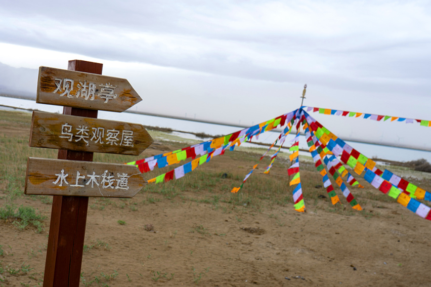 标致4008环青海长测Day2：小柴旦吃“野生盐”，尕海盐湖是真臭！