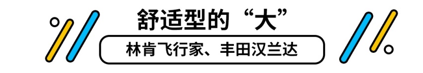 一个字就是大！这些大个子SUV什么风格都有，包你满意