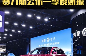 净利润7.54亿元 赛力斯公布一季度财报