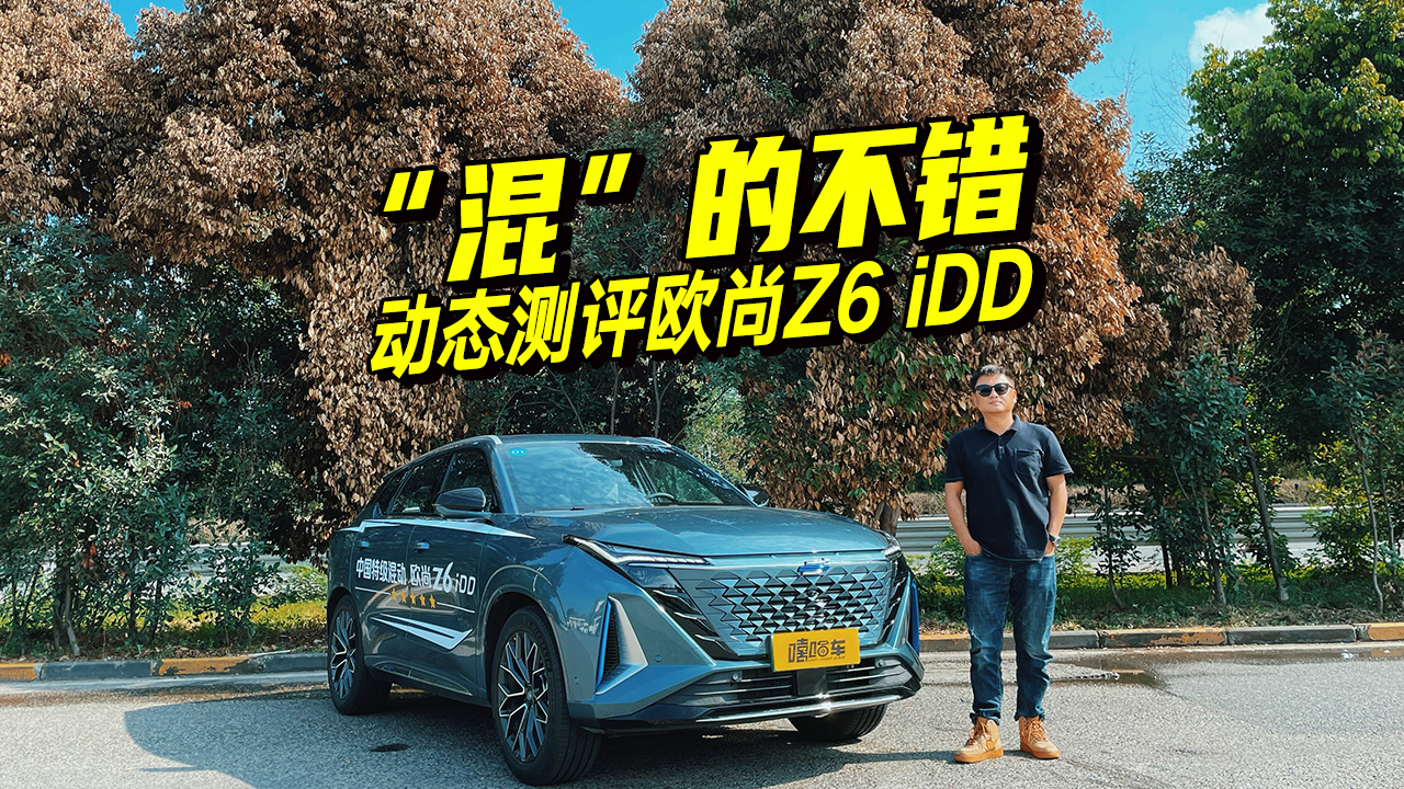 ԼݳŷZ6 iDDPLUS DM-i족øãĿ