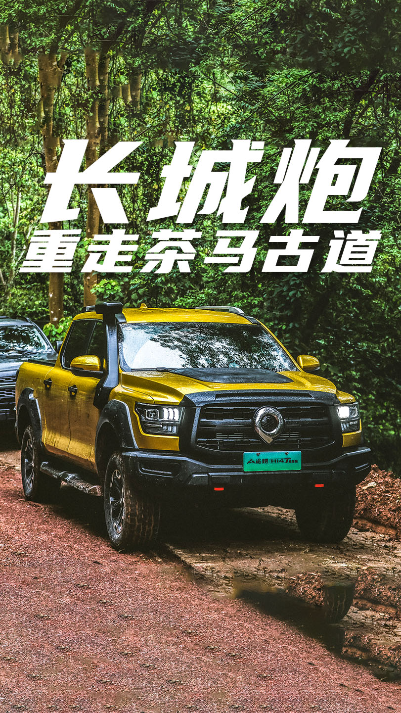 L(zhng)߲Rŵ ȫƤӭӲ˿(yn)