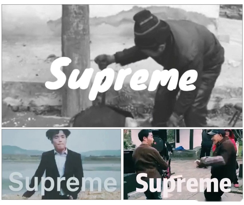 都说它长得丑，私底下却喜欢得很~