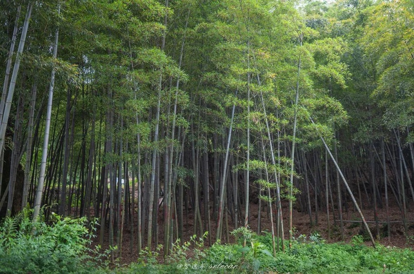 试驾吉利ICON，颜值是亮点，内饰有惊喜，10万出头买它值吗