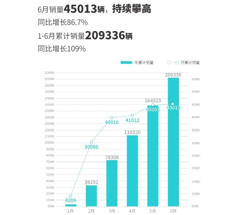各大品牌均有起色 6月新能源销量解析