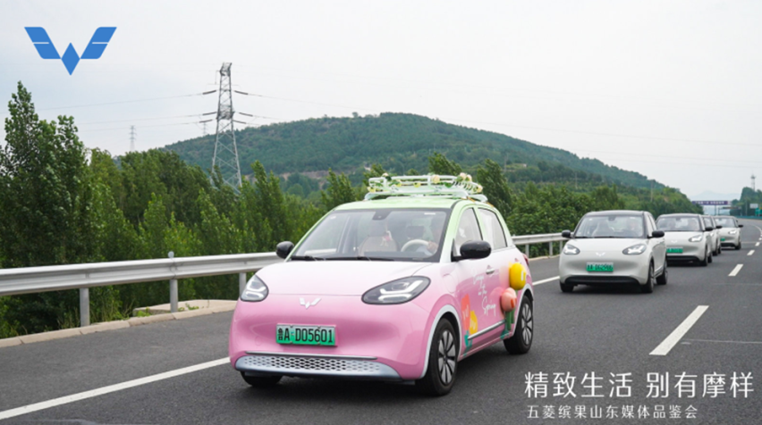 求解：想入手大空间五门纯电车！答：选五菱缤果