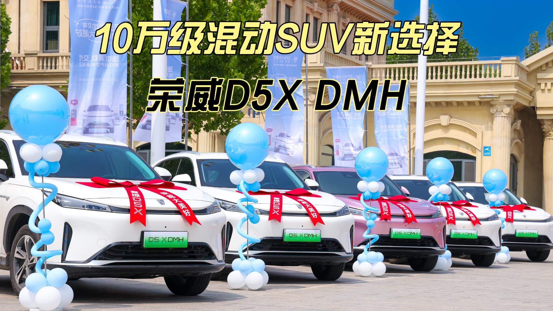 10�򼶻춯SUV��ѡ�� ����D5X DMH������ʽʯ��ׯվ