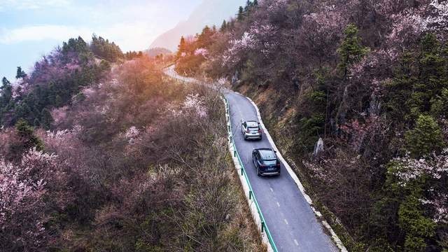 要拿回失去的东西，超混电驱奇骏能“复仇”吗？我们抢先试了试