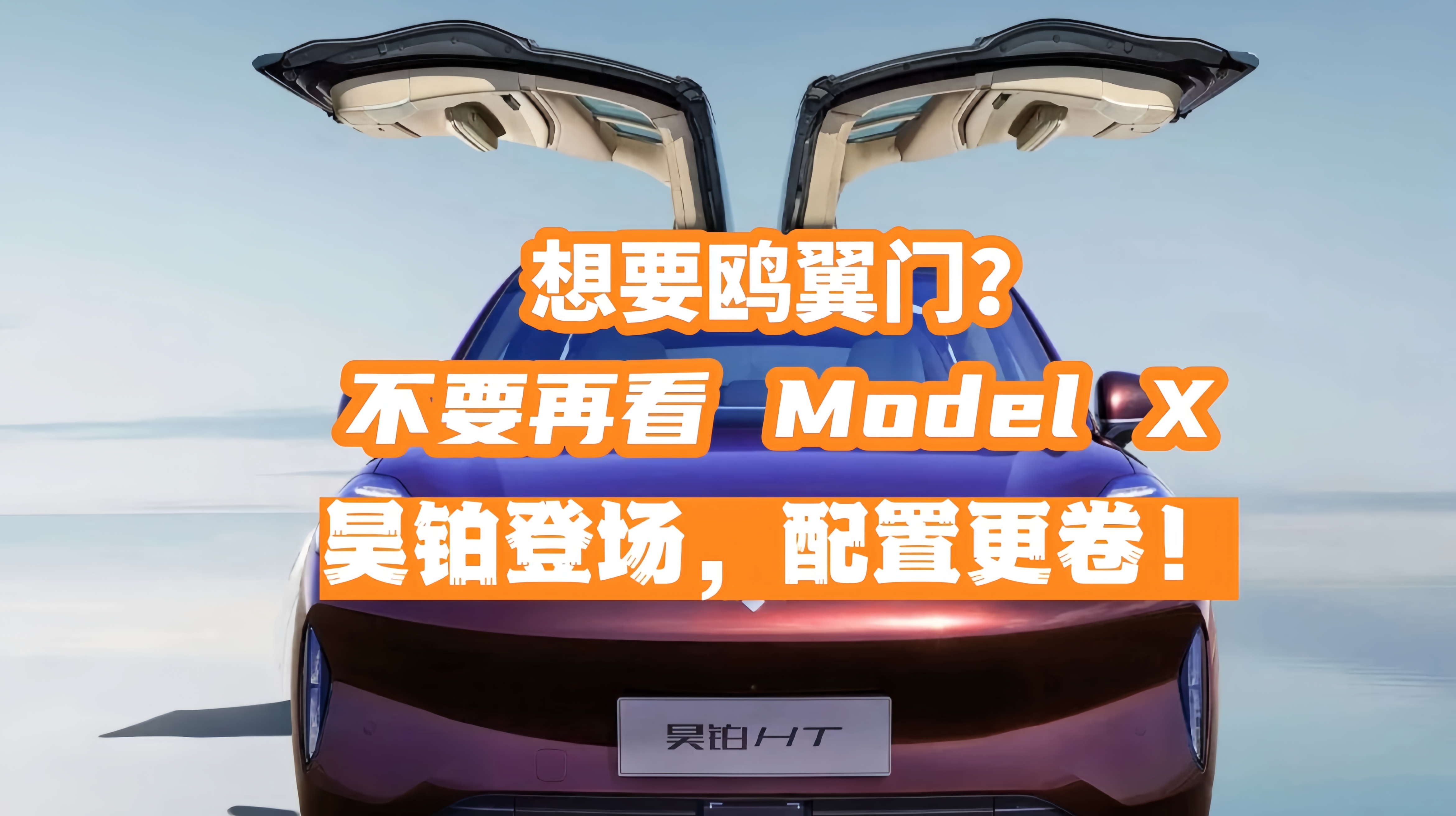 ��ҪŸ���Ų����ٿ�Model X��껲�HT�ǳ������ø���