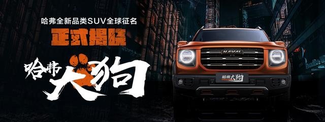 哈弗大狗火了，不只是因为个性的名字