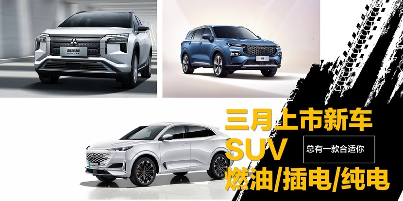 【帮你选车】三月即将上市SUV，燃油/插混/纯电 满足不同购车需求