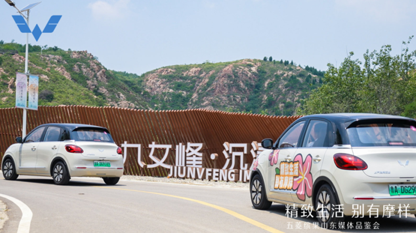 求解：想入手大空间五门纯电车！答：选五菱缤果