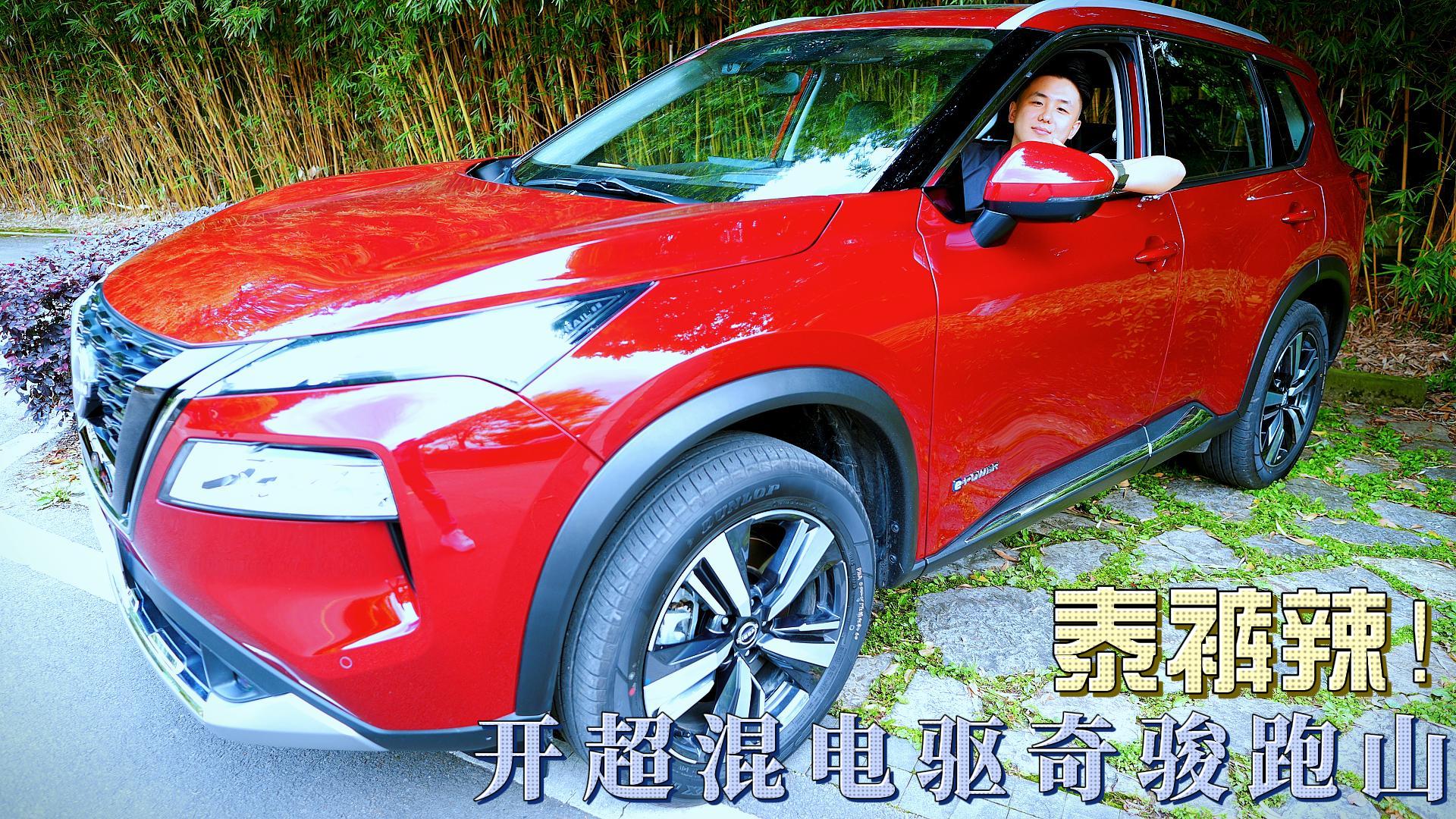 �����������ɽ��̩������