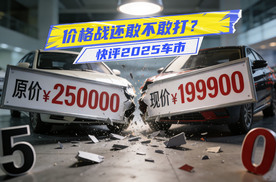 利润率仅4.1%！快评2025车市：价格战苦了行业