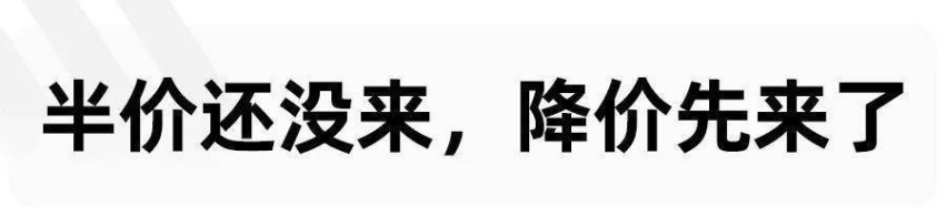 马斯克的嘴，特斯拉的“腿”