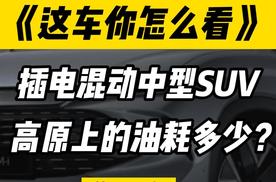 插混SUV在高原会不会高反？油耗还有没有可能低至4L以下？