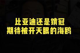 好久不关注比亚迪销量了，原来还是冠军，期待开天眼的海鸥