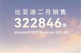 比亚迪2月稳坐销冠宝座：超32万辆佳绩，同比增长164%