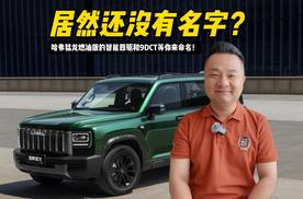 居然还没有名字？哈弗猛龙燃油版的智能四驱和9DCT等你来命名！
