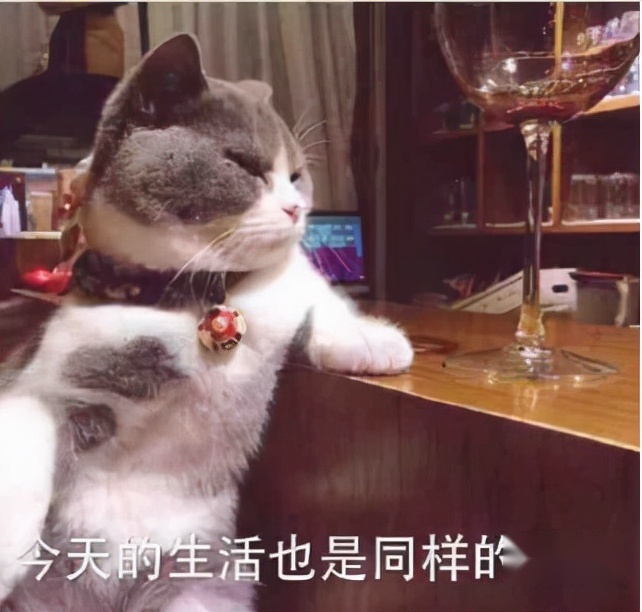 秒懂你的心思，荣威RX5 PLUS告诉你这才是车机的正确打开方式