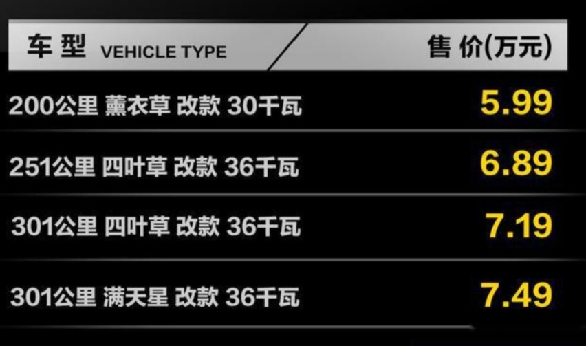 价格感觉有点高了，江淮思皓新款花仙子上市，高配售价超过7万元