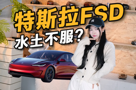 智驾市场迎挑战？特斯拉FSD落地，水土不服潜力大？