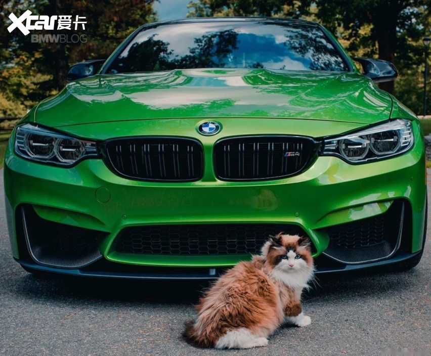 微型车“赔本赚吆喝”，长安新车靠卖萌能大卖？