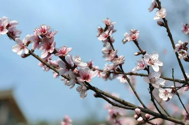试驾启辰大V：补齐动力短板，是年轻人想要的高性价比SUV吗？