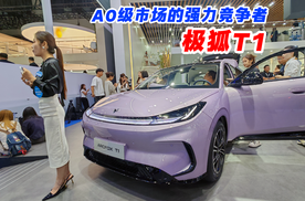 A0级市场的强力竞争者 静态体验极狐T1